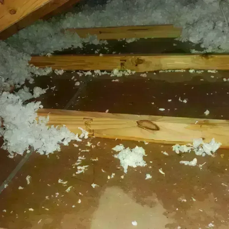 Attic Water Damage in Frankfort, OH