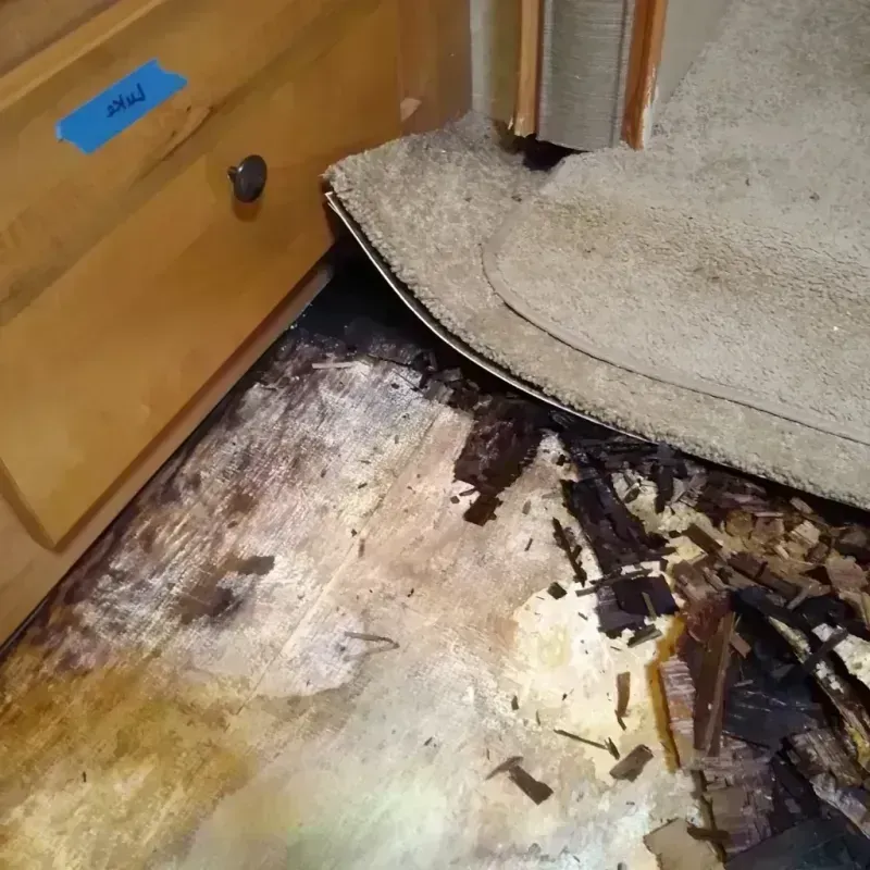 Wood Floor Water Damage in Frankfort, OH